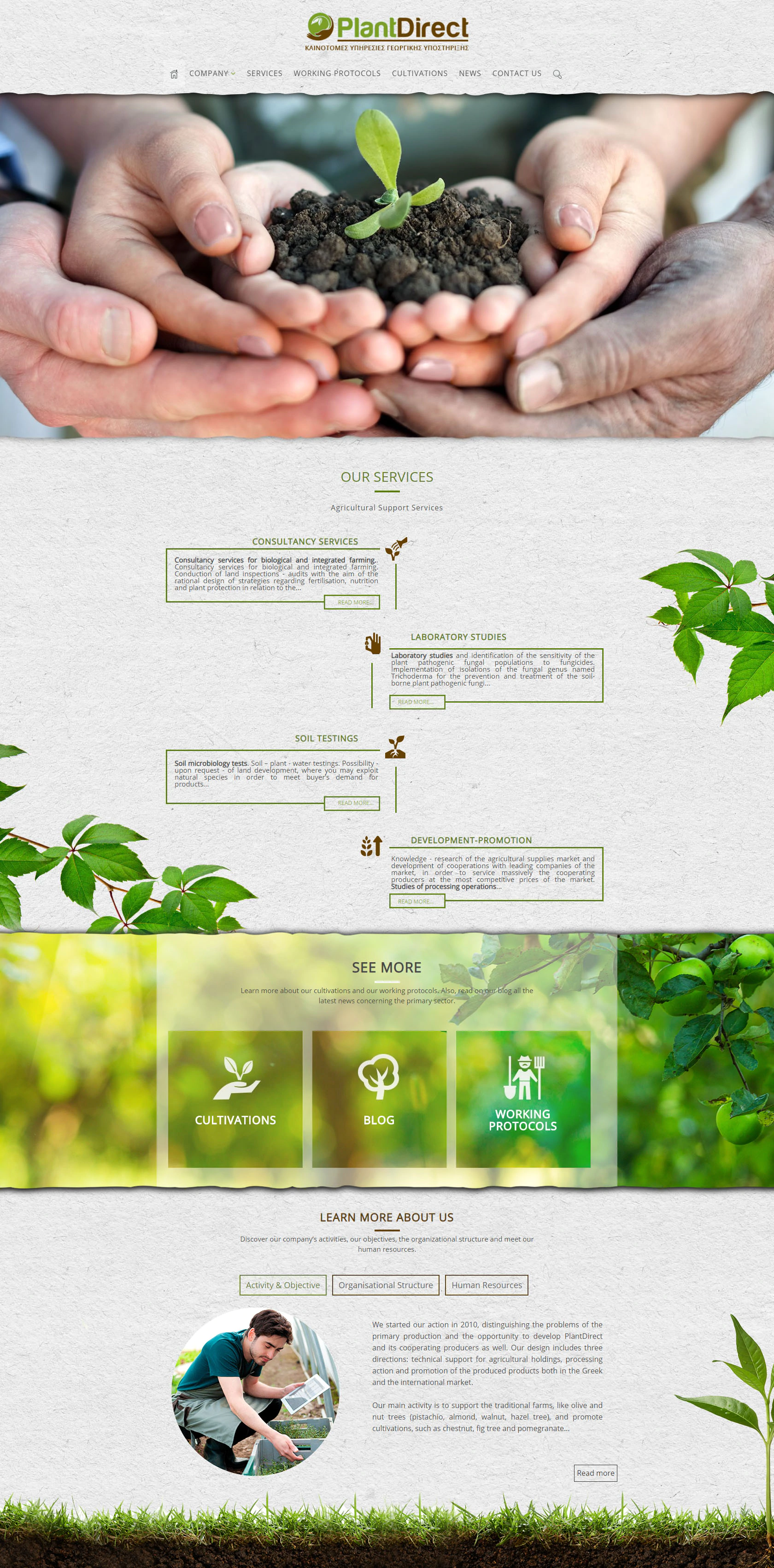Hexabit web design - Plant Direct