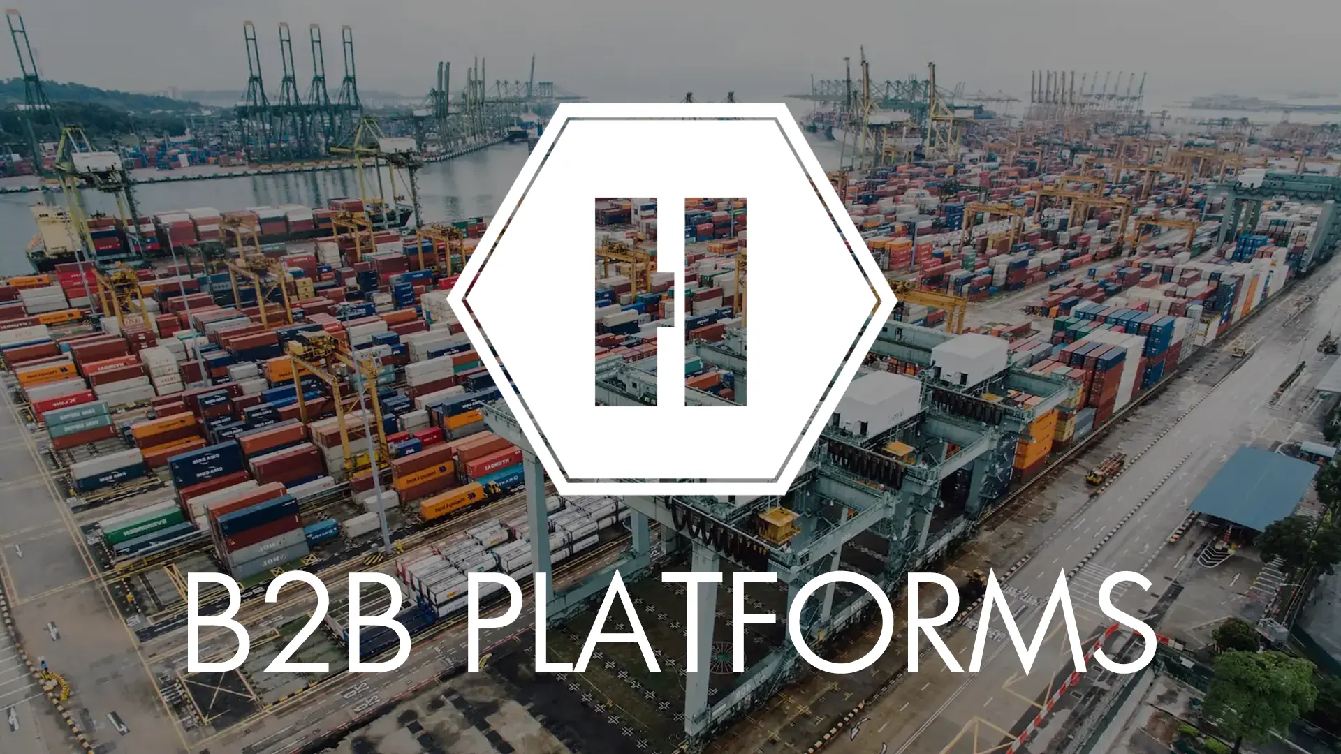 B2B Platform Development - Hexabit Internet Services